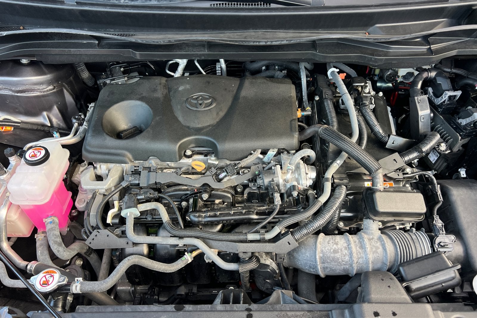 2025 Toyota Sienna LE