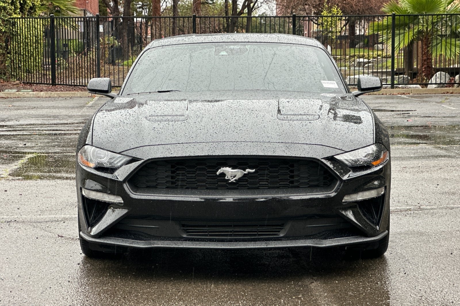 2022 Ford Mustang EcoBoost Premium