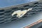 2023 Ford Mustang EcoBoost