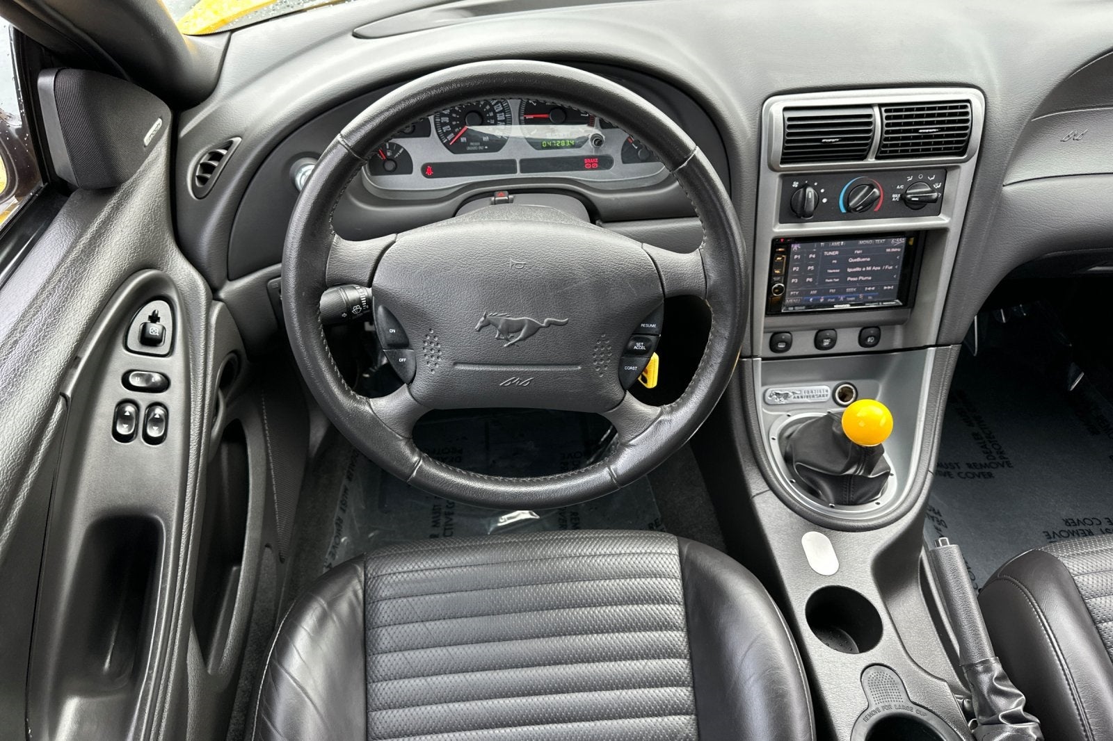 2004 Ford Mustang Mach 1 Premium