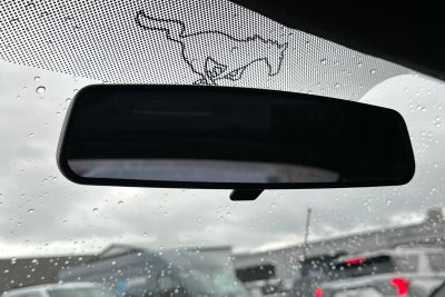 2004 Ford Mustang Mach 1 Premium