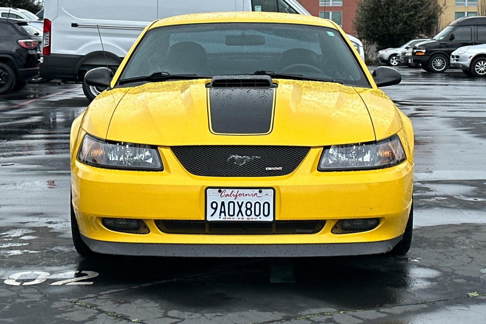 2004 Ford Mustang Mach 1 Premium