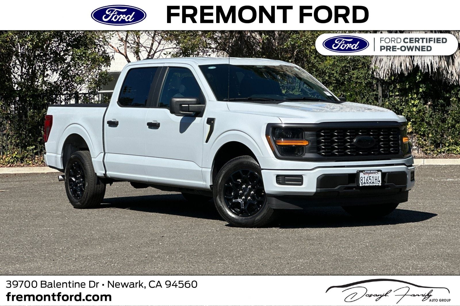 2025 Ford F-150 STX