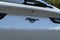 2023 Ford Mustang Mach-E California Route 1